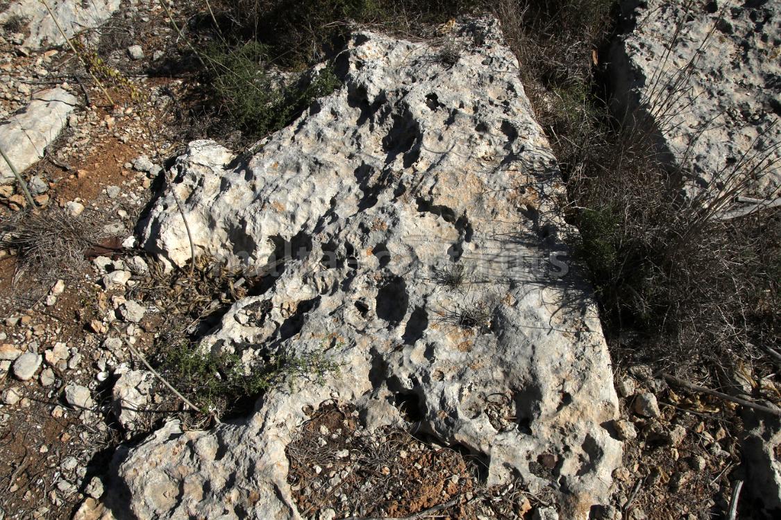 Ix-Xaghra tal-Ghansar - 02