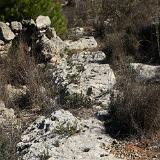 Ix-Xaghra tal-Ghansar- 01