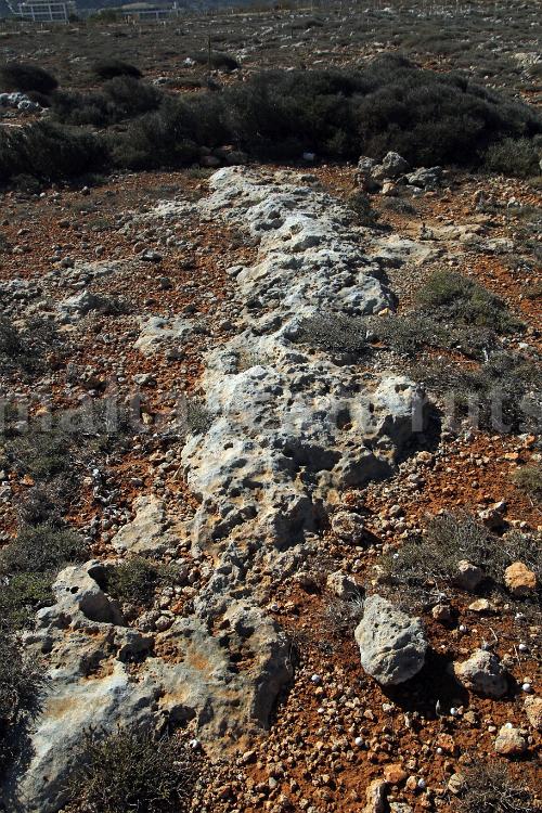Ix-Xaghra tal-Qortin 4