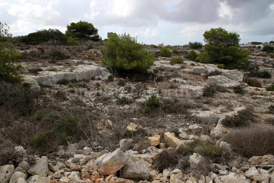Selmun quarry
