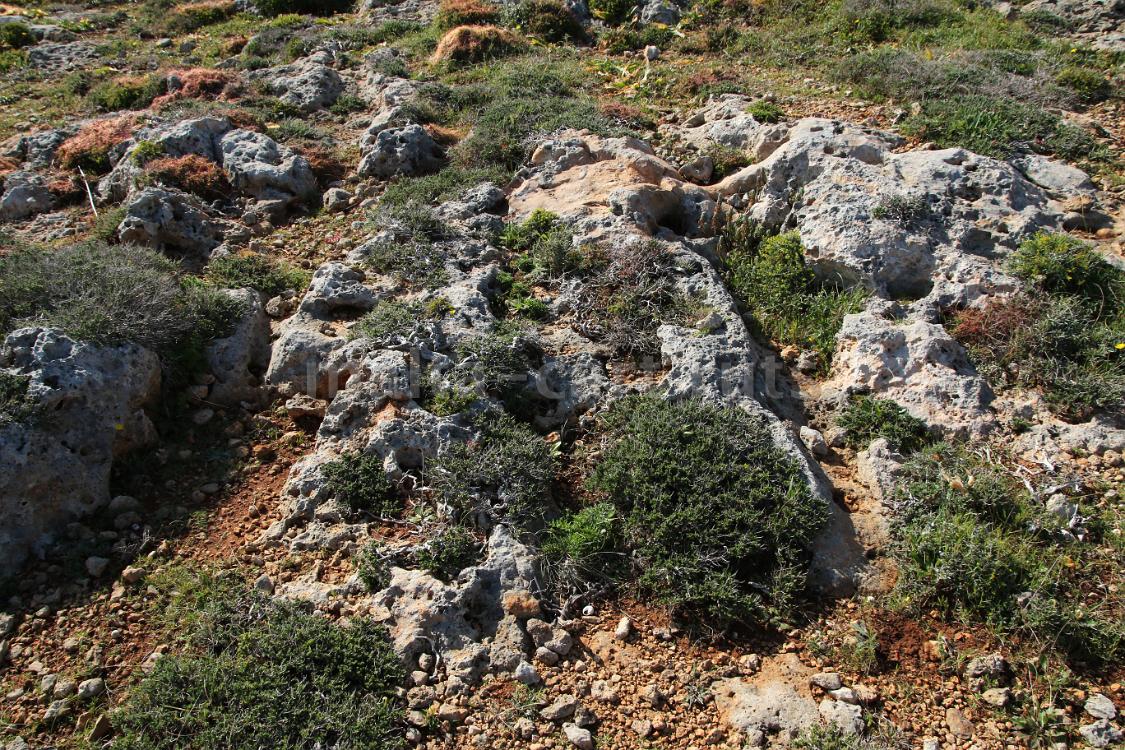 Wied ta'Rduna 3