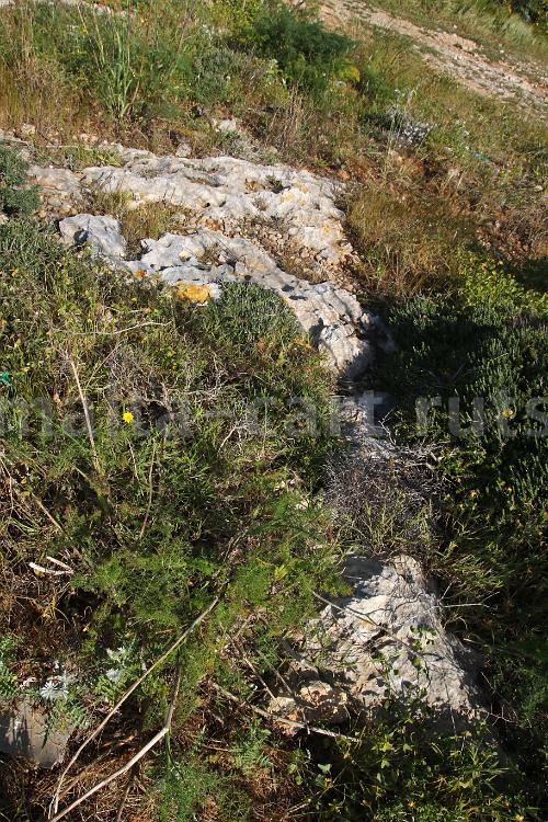 Wied ta'Rduna 4
