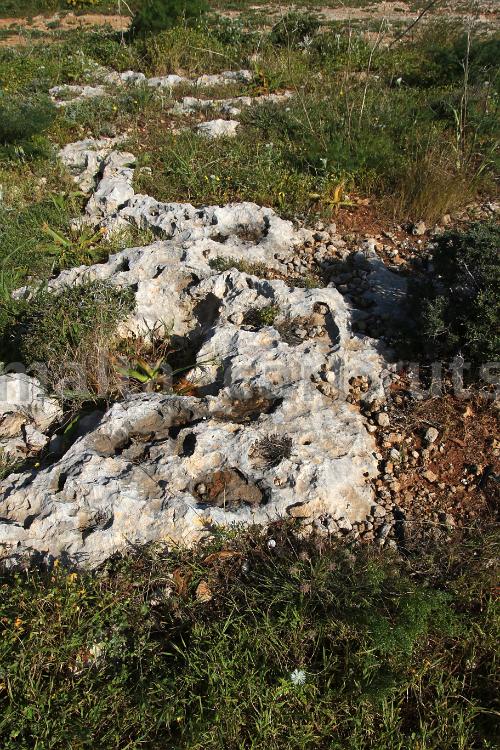 Wied ta'Rduna 5