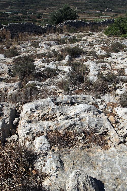 Ix-Xaghriet ta'Fraxku 9c