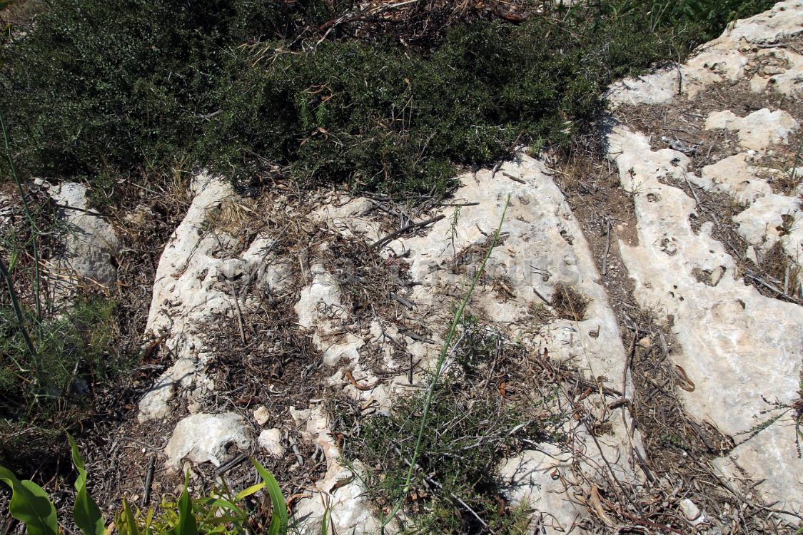 Mgarr 2b