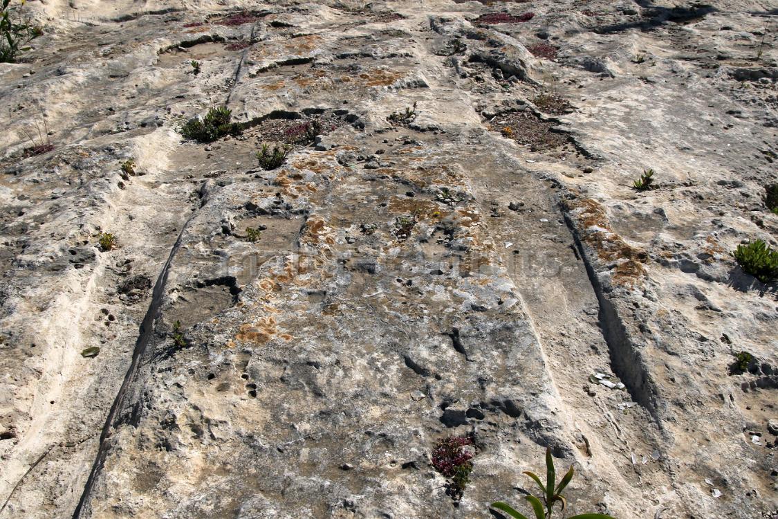 Mgarr 7b