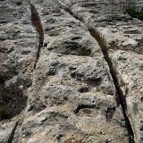 Mgarr