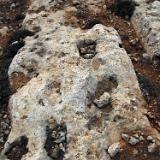 Qala Pellegrin - 02