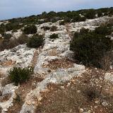 Tal-Palma 4