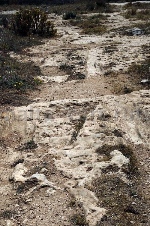 Ta'Santa Margerita path - 01