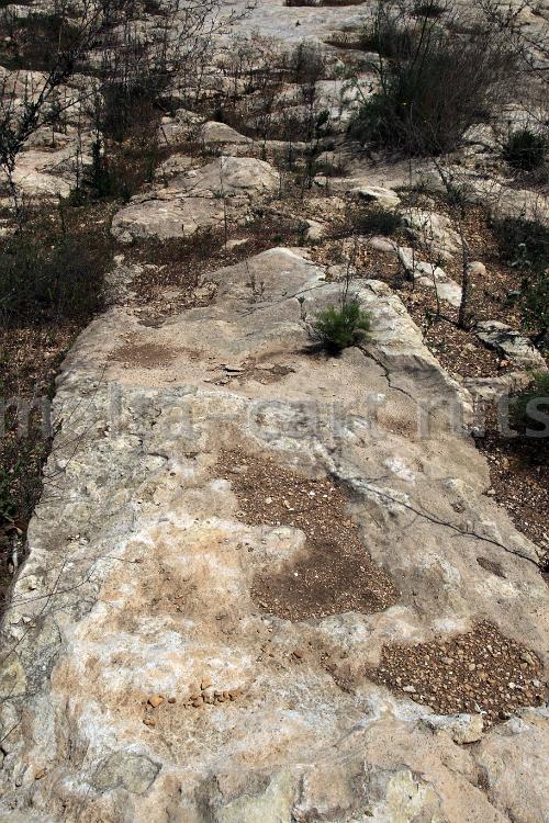 Tal-Qares 2