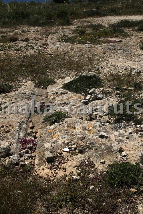 Ix-Xaghra tal-Maghlaq 1