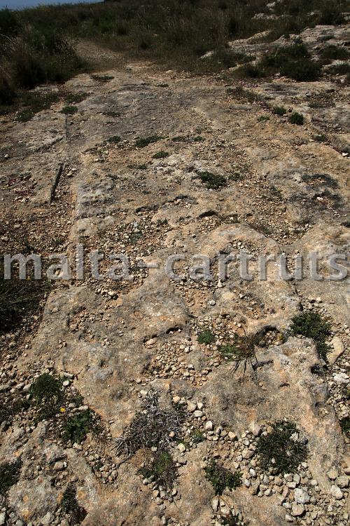 Ix-Xaghra tal-Maghlaq 2c