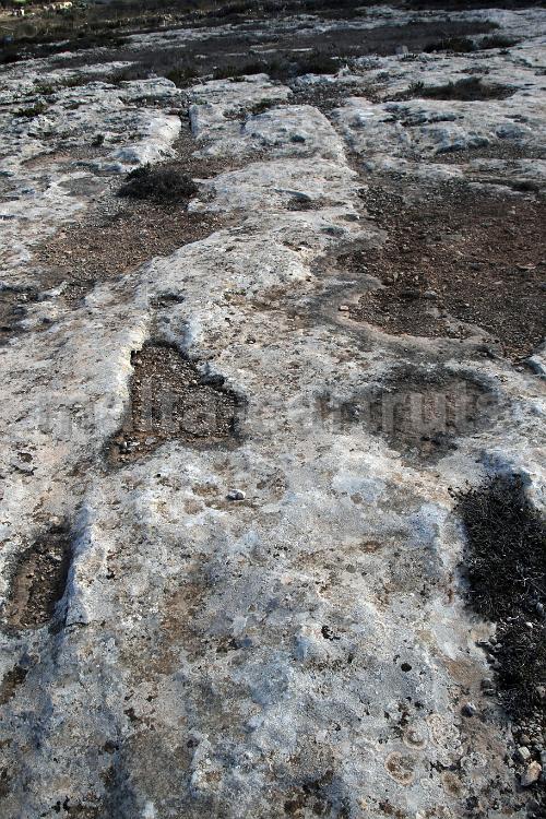 Bahrija north-west 1