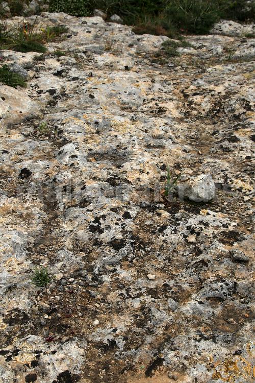 Il-Hawlija - 01