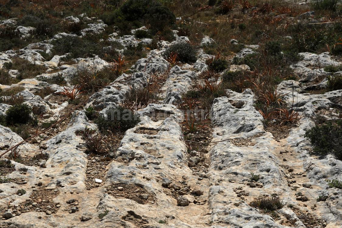 Ta'l-Għattuqa 1d,c,b