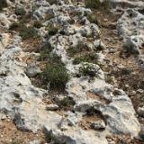 Ix-Xaghra ta'l-Ghattuqa 1b