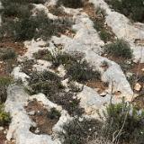 Ix-Xaghra ta'l-Ghattuqa 1e