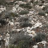 Ix-Xaghra ta'l-Ghattuqa 7