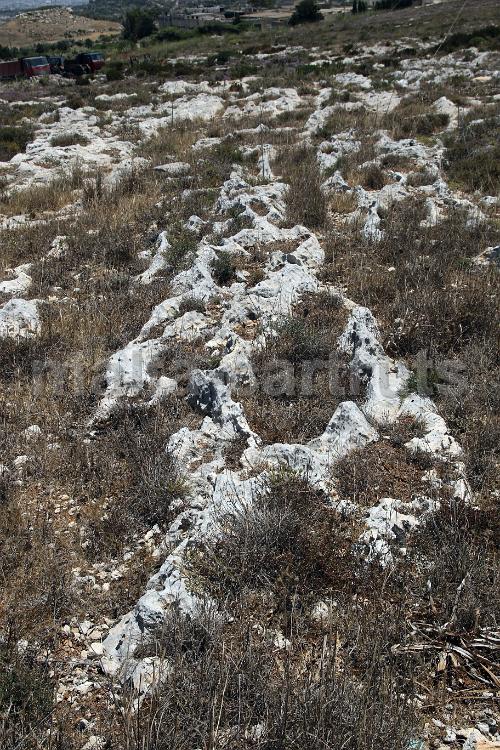 Qallilija 1l