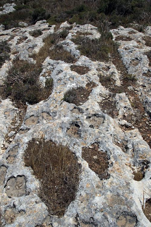 Qallilija 1n