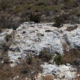 Qallilija 2