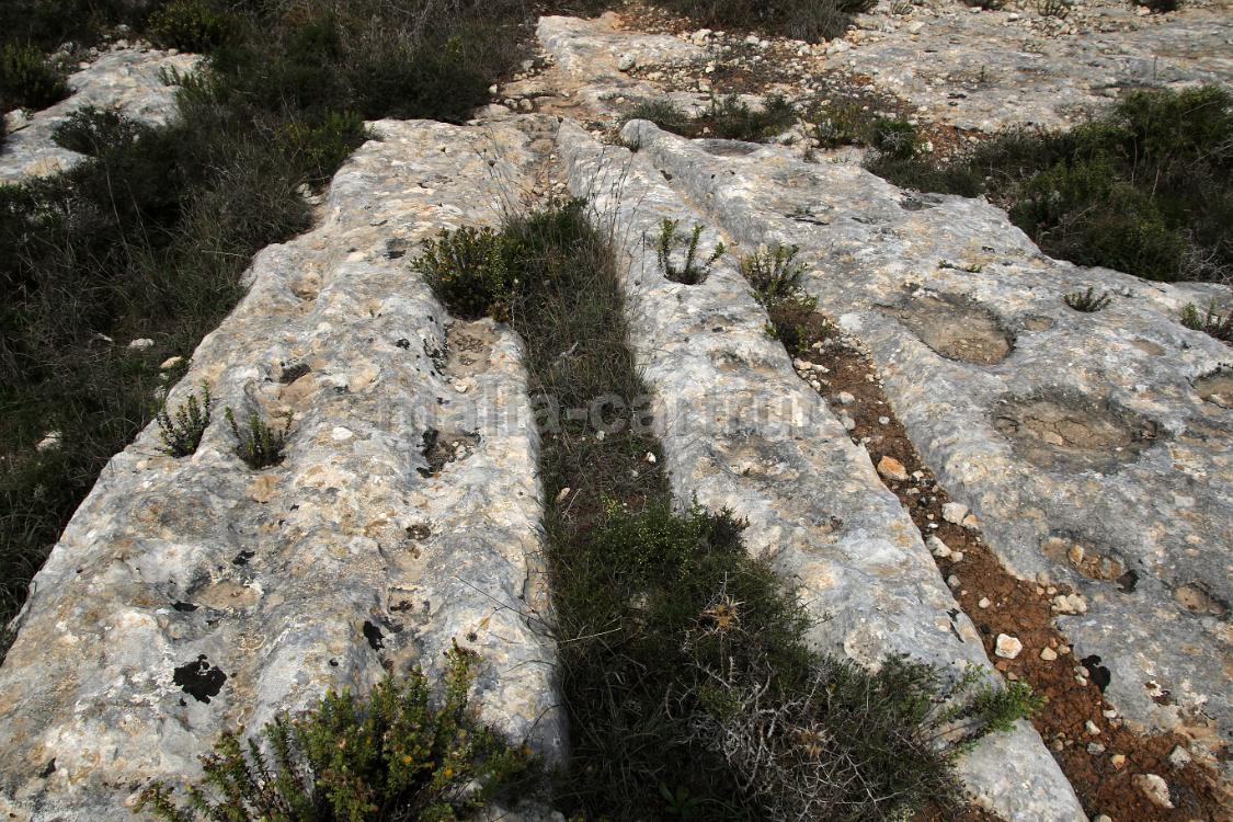 Qallilija 3a x 3b