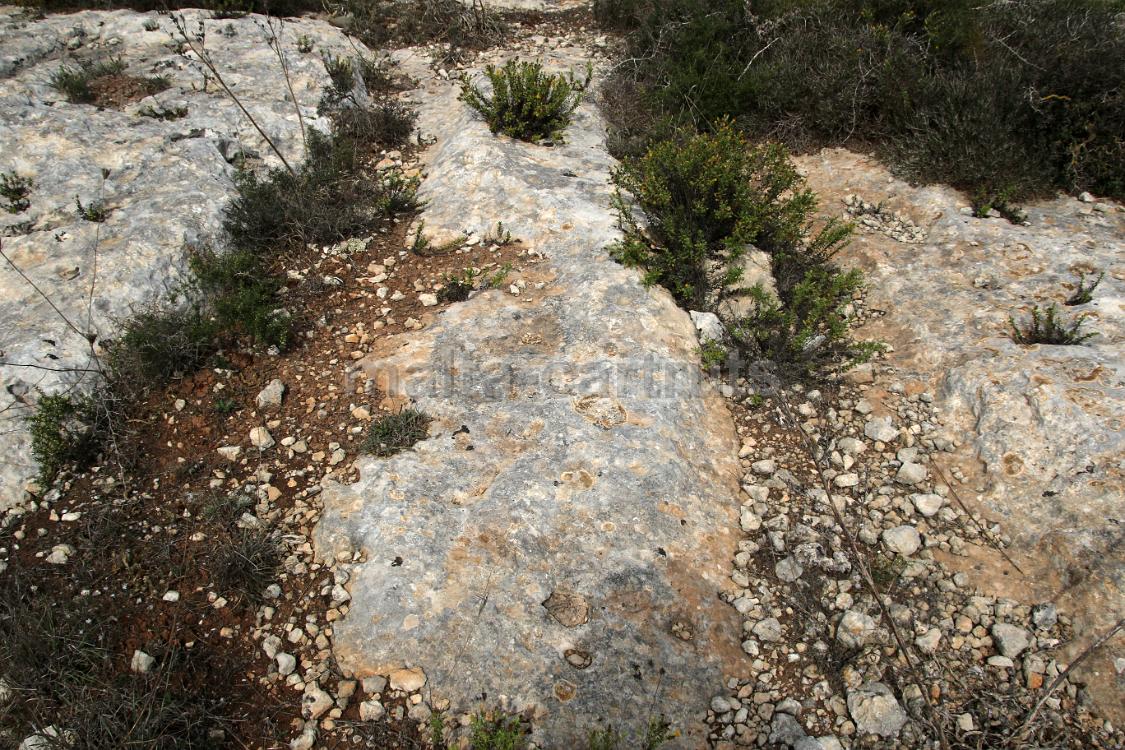 Qallilija 3a