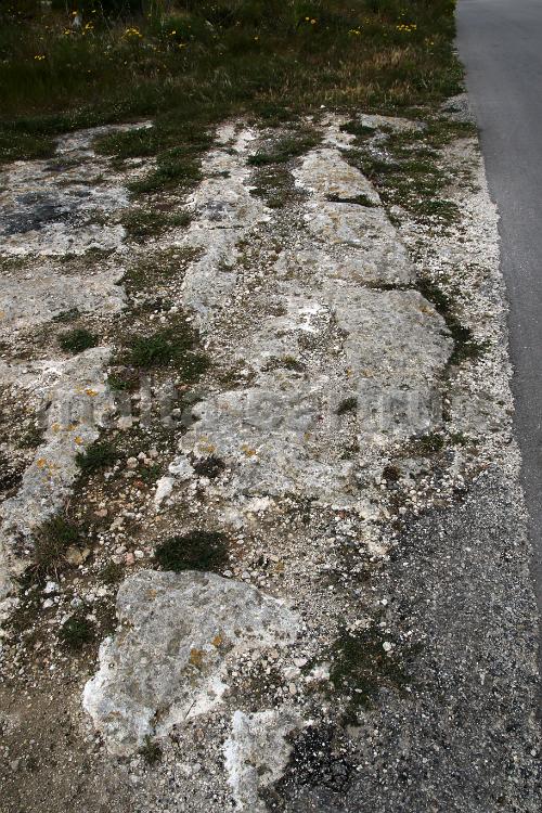 Qallilija 5d