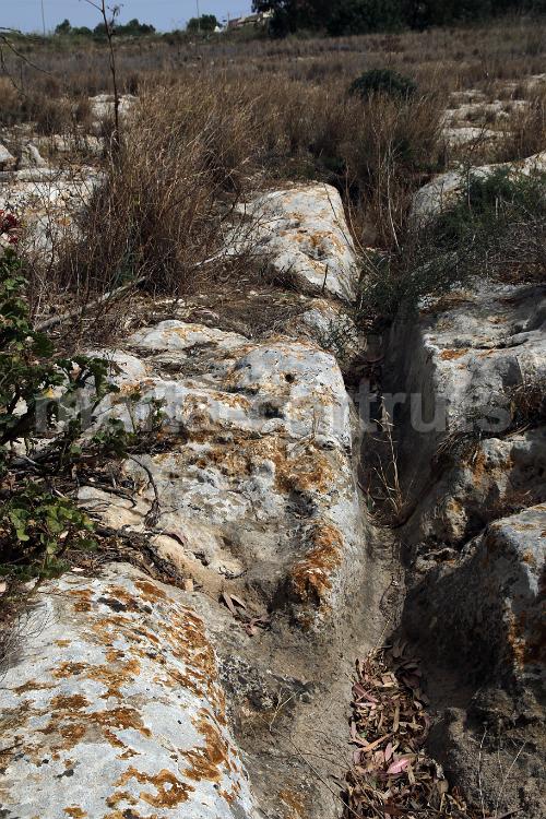 Qallilija 8c