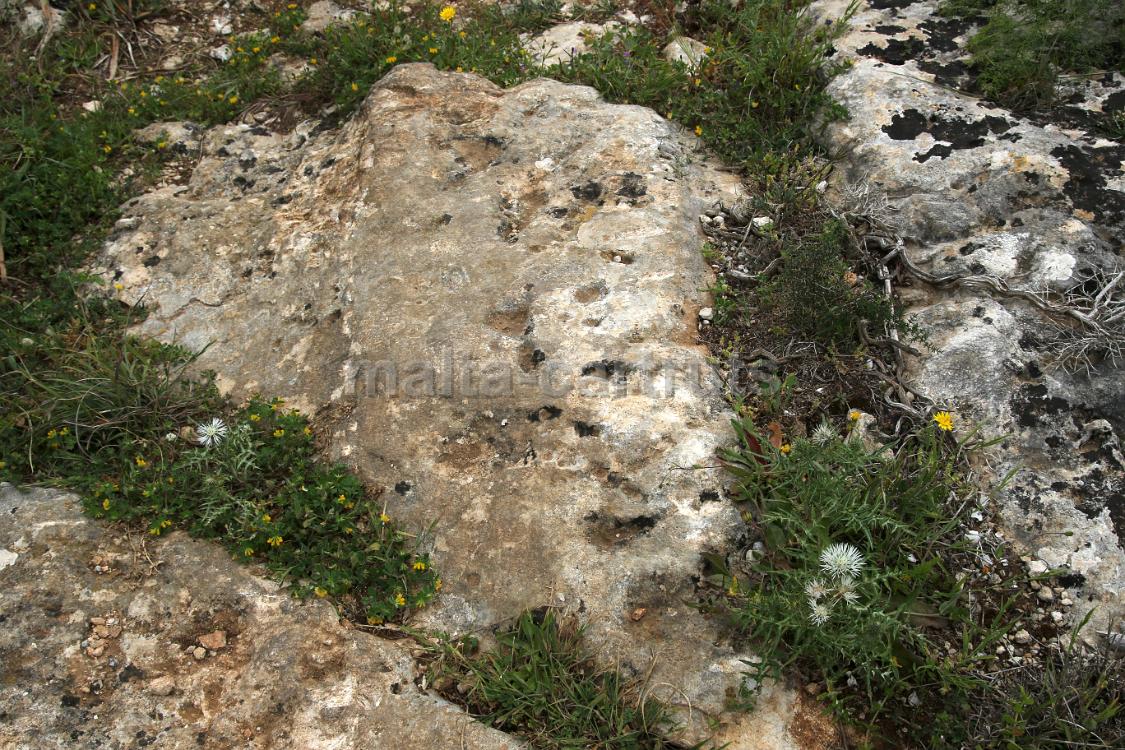 Tal-Majjistra - 01