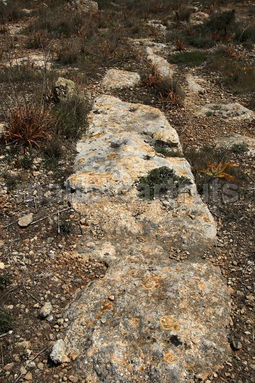 Tan-Nadur 3