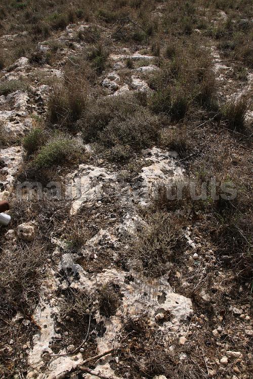 Tan-Nadur 6b - 01