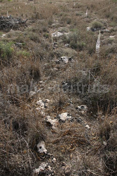 Tan-Nadur 8a