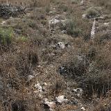 Tan-Nadur 8a