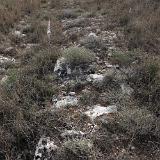Tan-Nadur 9