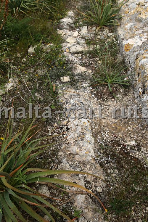 Għar Ilma 8
