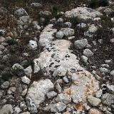 Il-Qsajjem Mtahleb 1 - 01