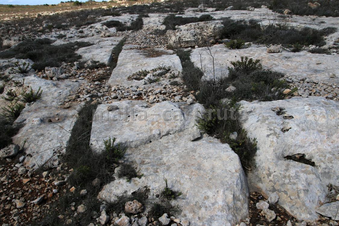 Ta'Cenc 6a