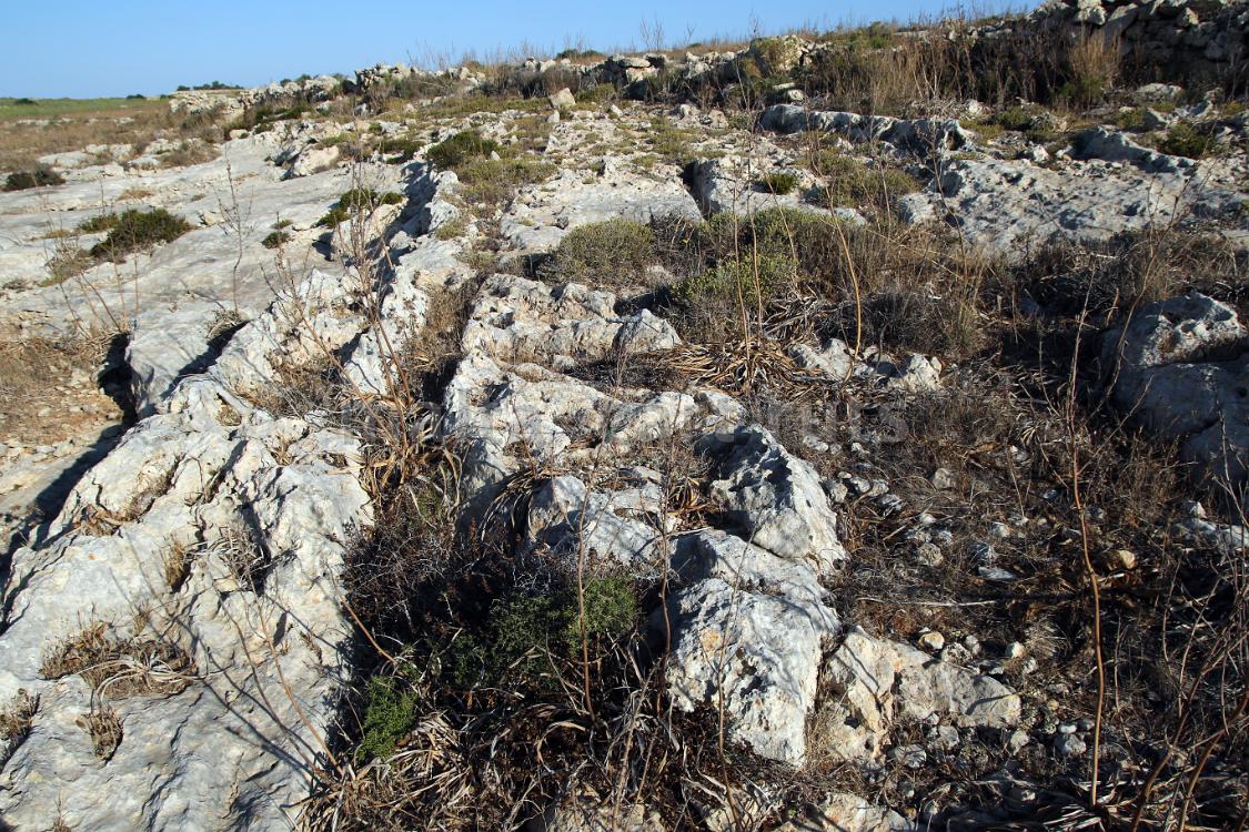 Ta'Cenc 6b