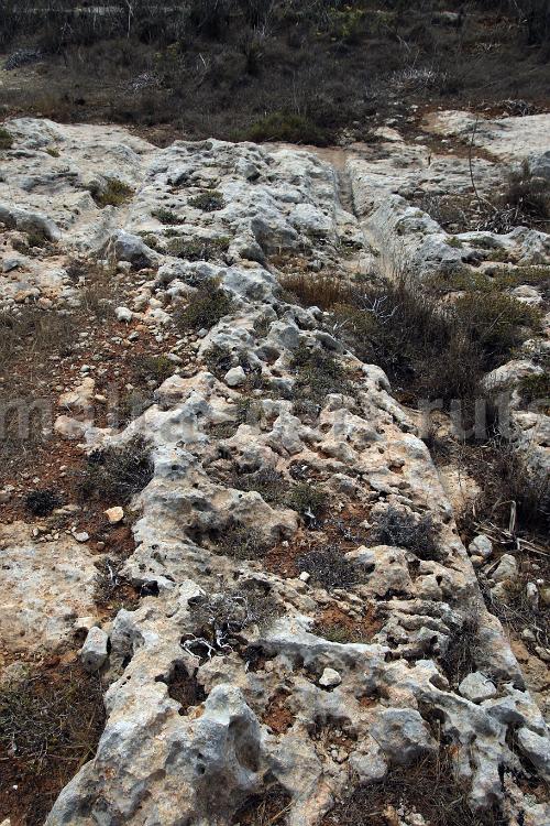 Ta'Cenc 7 - 03