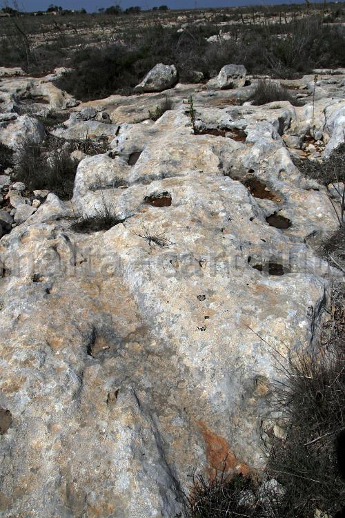 Ta'Cenc 7 x 6