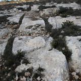 Ta'Cenc 10a