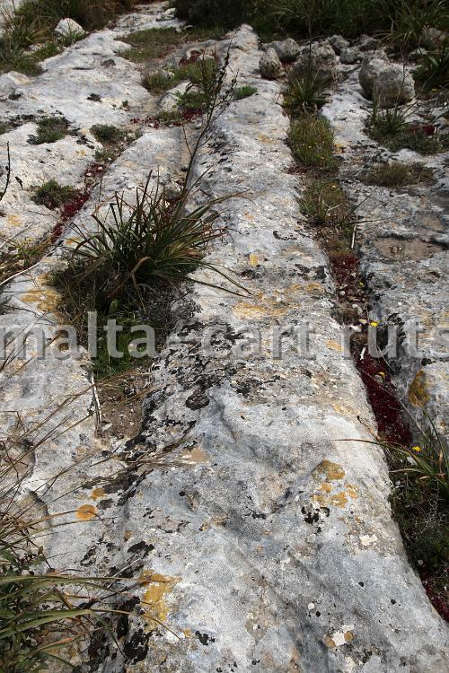 Ghain il-Kbira 5