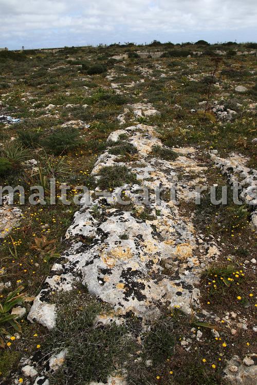 Ghain il-Kbira 7