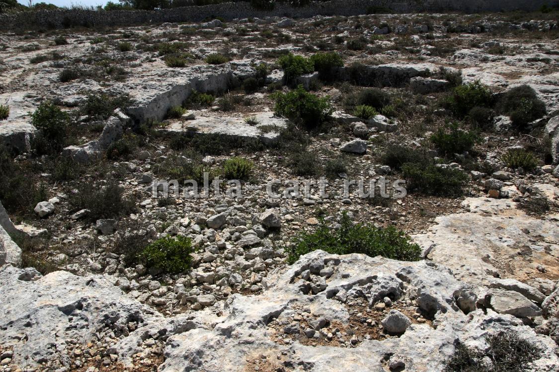 Ta'Mazzu Quarry 1