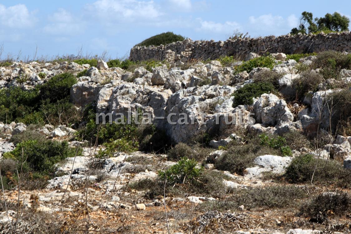 Ta'Mazzu Quarry 2