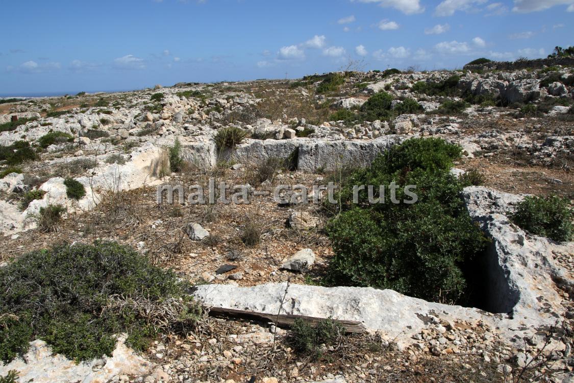Ta'Mazzu Quarry 3