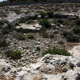 Ta'Mazzu quarry 1