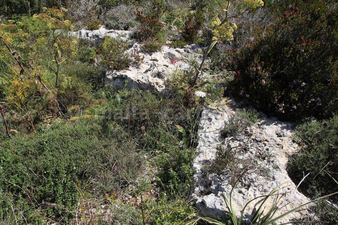 Quarry